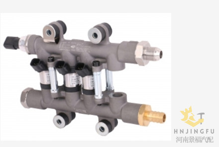 D4400-1113900B/LN200-1113900B cng gas injector rail pump parts